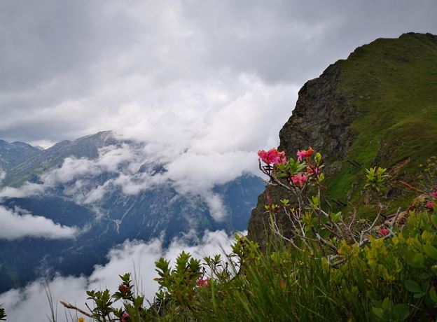 Guided Summit Hike